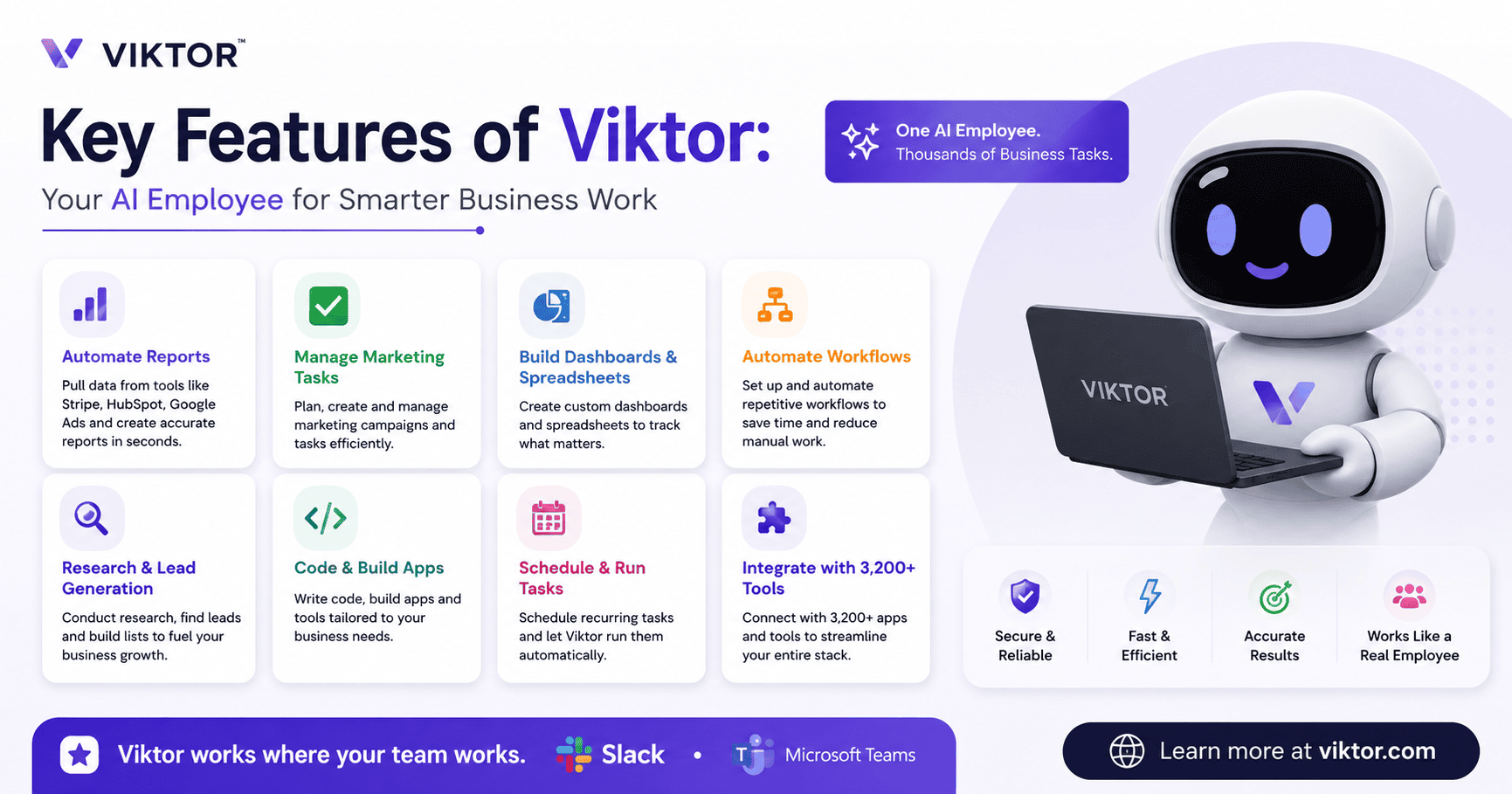Key Features of Viktor (2)